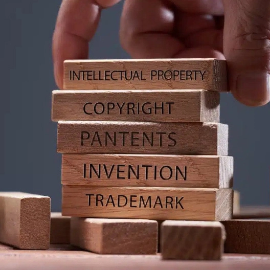 Intellectual Property Law