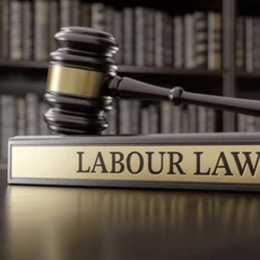 Labour Law